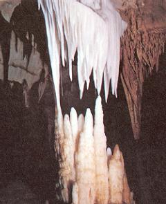 stalag.jpg (14782 octets)