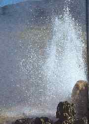geyser.jpg (17745 octets)
