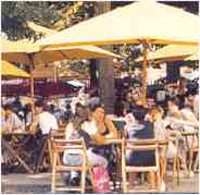 terrasse.jpg (5911 octets)